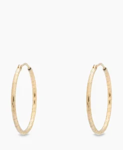 Anna+nina Oorbellen Hammered Plain Hoop Earrings Xl Silver G Goud*Dames Sieraden